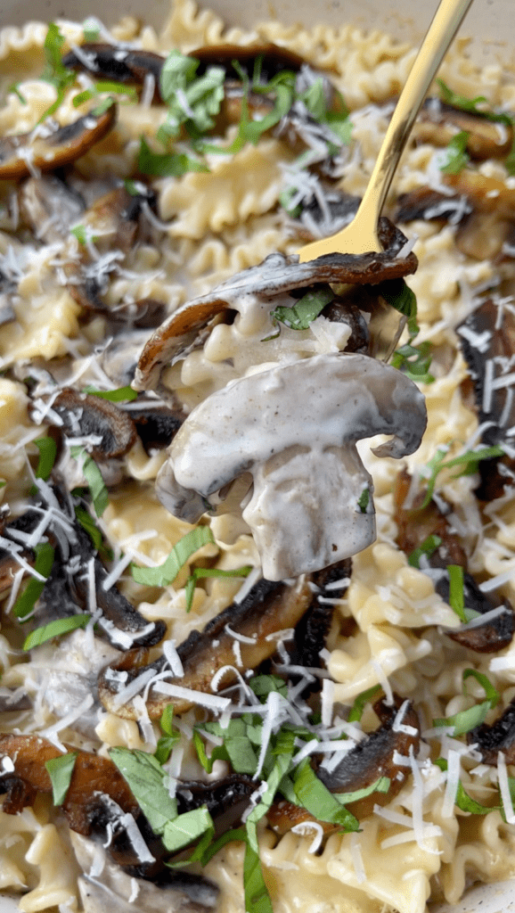 creamy mushroom pasta