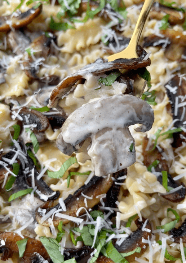 Creamy mushroom pasta